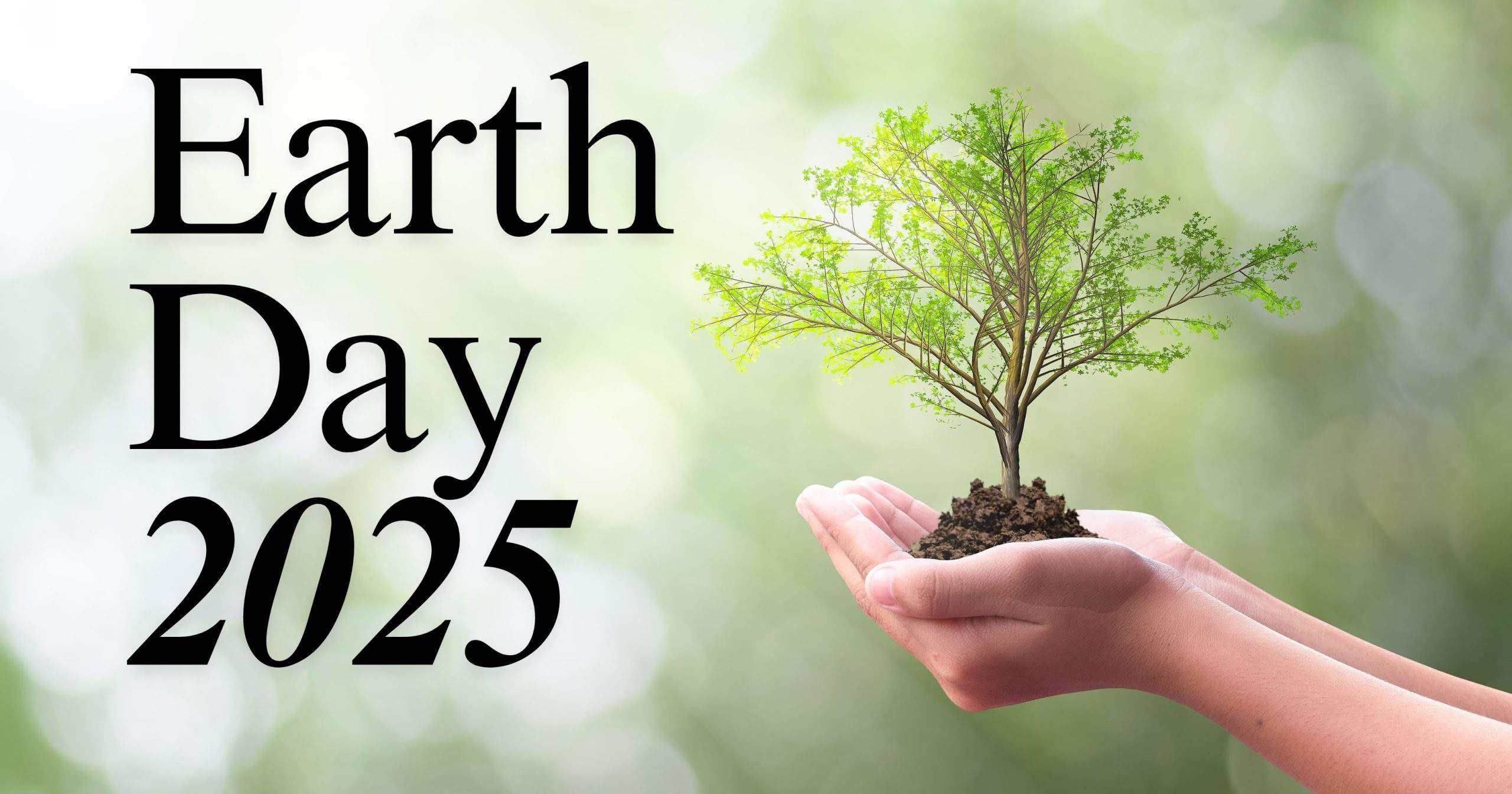 Earth Day 2025: The Best Eco-Friendly Features to Add to Your Home