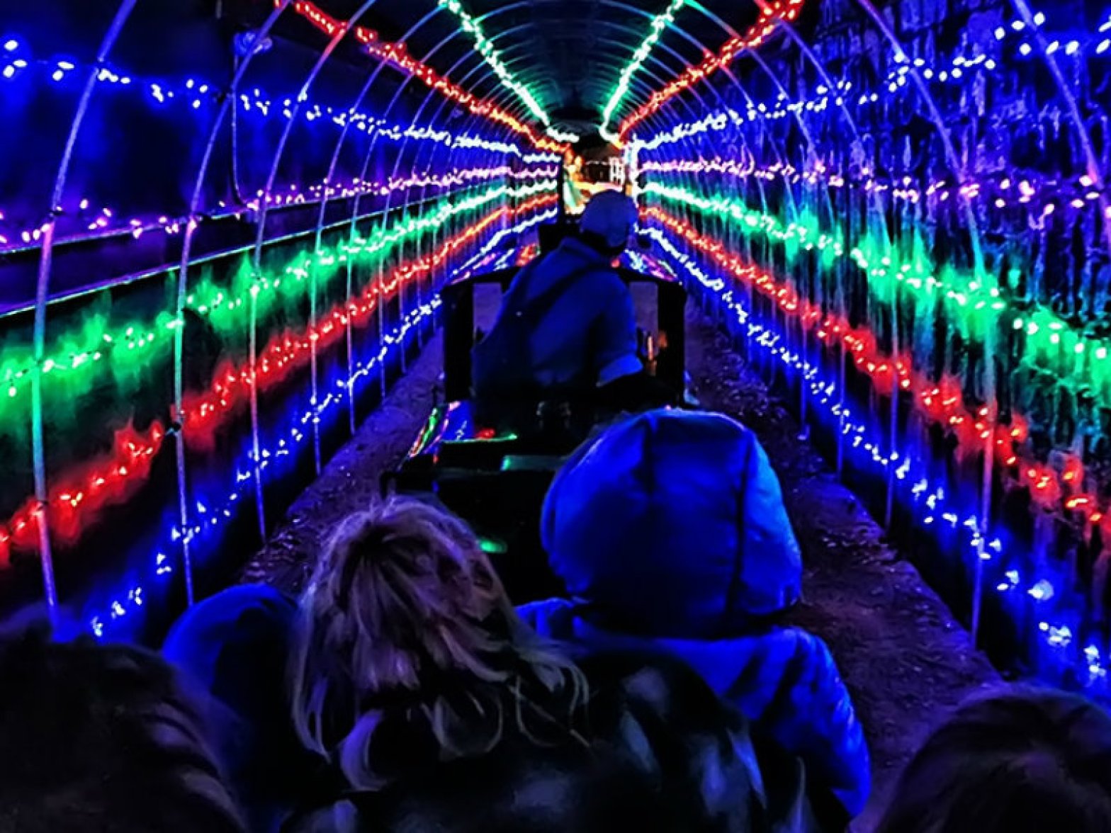 McCormickStillman Railroad Park Holiday Lights •